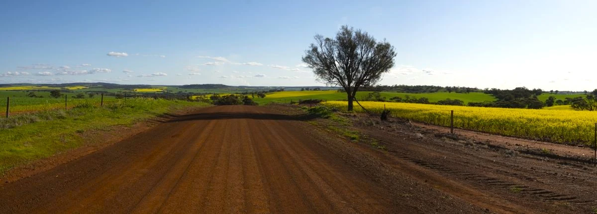 Desafios das Estradas Vicinais: Guia de Manutenção e Maquinário